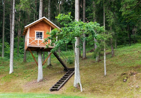 Cabane dans les arbres en Haute-Savoie : connaître les avantages avant de choisir